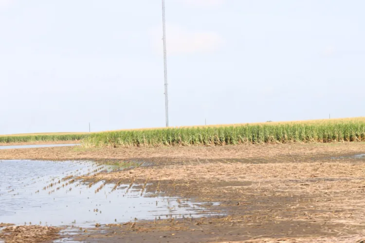Iowa harvest behind schedule due to ‘extremely soggy’ conditions